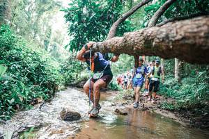 BIB: 
                            <button type="button" onclick="openModal(25374531)" class="btn btn-primary btn-sm float-right btn-popup" data-toggle="modal" data-target=".modal-high-quality">
                        <i class="fas fa-shopping-cart"></i> Add to Cart
                    </button>
                                            <button type="button" onclick="isThisMe(25374531, true)" class="btn btn-success btn-sm float-right btn-popup btn-isme hidden" data-toggle="tooltip" data-placement="bottom" title="นี่คือรูปของคุณใช่ไหม คลิกที่นี่เพื่อเอาเข้าอัลบั้ม">
                        <i class="fas fa-plus"></i> Add to album
                    </button>
                    <button type="button" onclick="isThisMe(25374531, false)" class="btn btn-warning btn-sm float-right btn-popup btn-isnotme hidden">
                        <i class="fas fa-ban"></i> Remove from album
                    </button>